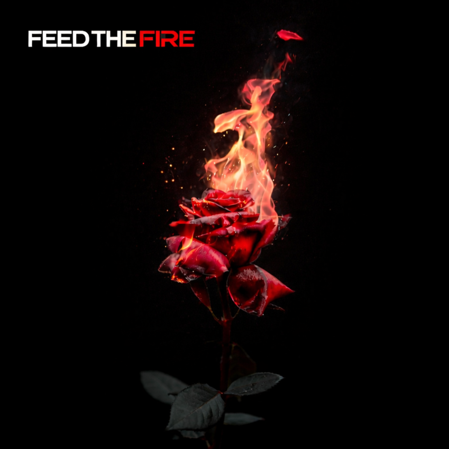 Feed The Fire