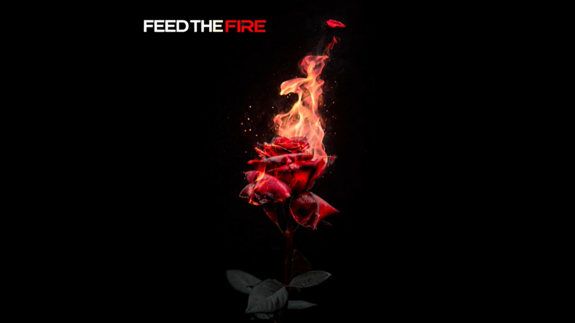 Load video: Coming Soon